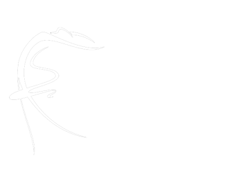 Ding's studio logo